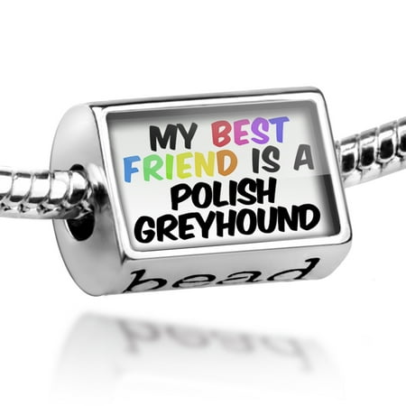 Bead My best Friend a Polish Greyhound Dog from Poland Charm Fits All European