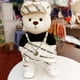 thumbnail image 3 of Oso de peluche de 30cm, oso de mantequilla para niños, figura de acción, cambio de ropa, regalo de cumpleañoszhangyuxiang, 3 of 4