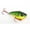Orange, variant on Strike King Red Eye Shad 1/2oz Bleeding Fire Tiger Hard Bait Lure