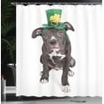 thumbnail image 3 of Ambesonne Dog Lover Shower Curtain, Funny Irish Puppy Picture, 69"Wx75"L, Dark Grey Green and Mustard, 3 of 4