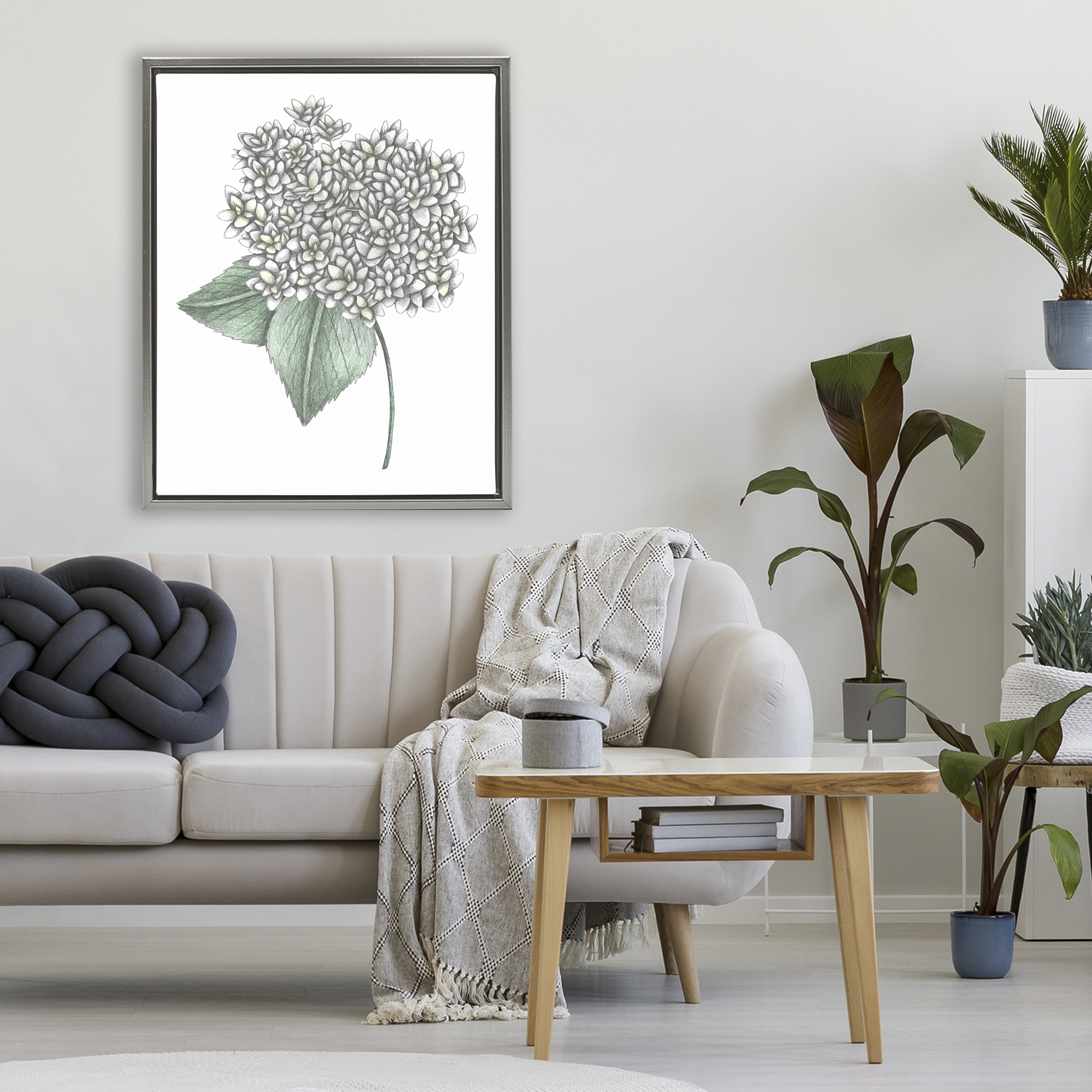White Hydrangea Sketch Blossom Gray Framed Floater Canvas Wall Art, design by Cecilia Battaini