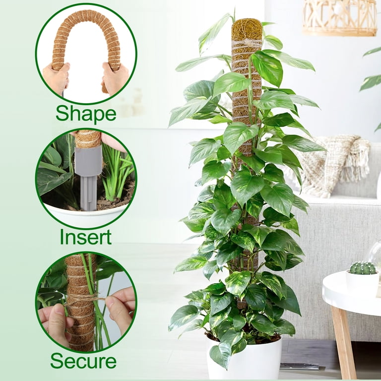 LANNEY Bendable Moss Pole for Plants, 2-Pack 25 In. photo 5