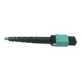 thumbnail image 4 of Eaton Tripp Lite Series 400G Multimode 50/125 OM4 Plenum-Rated Fiber Optic Cable, 24F MTP/MPO-PC (F/F), Aqua, 3 m - Network cable - MTP/MPO/PC multi-mode (F) to MTP/MPO/PC multi-mode (F) - 3 m - fiber optic - 50 / 125 micron - OM4 - plenum - black, aqua, 4 of 4