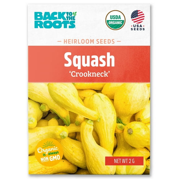 Back to the Roots Organic Squash 'Crookneck', 1 Seed packet