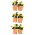 thumbnail image 1 of Houston International Trading 8433E SAFF S-3 Enameled Galvanized Double Hanging Planter, Saffron, 1 of 1