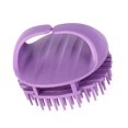 thumbnail image 1 of Exfoliator Hair Brush Massage Scalp Comb Set for Women Men and Kids, 1 of 7