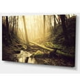 thumbnail image 2 of Stream in the Dark Wild Forest - Forest Canvas Art Print, 2 of 3