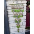 thumbnail image 5 of Shimmering Bells with Small Leaves, 5 of 6