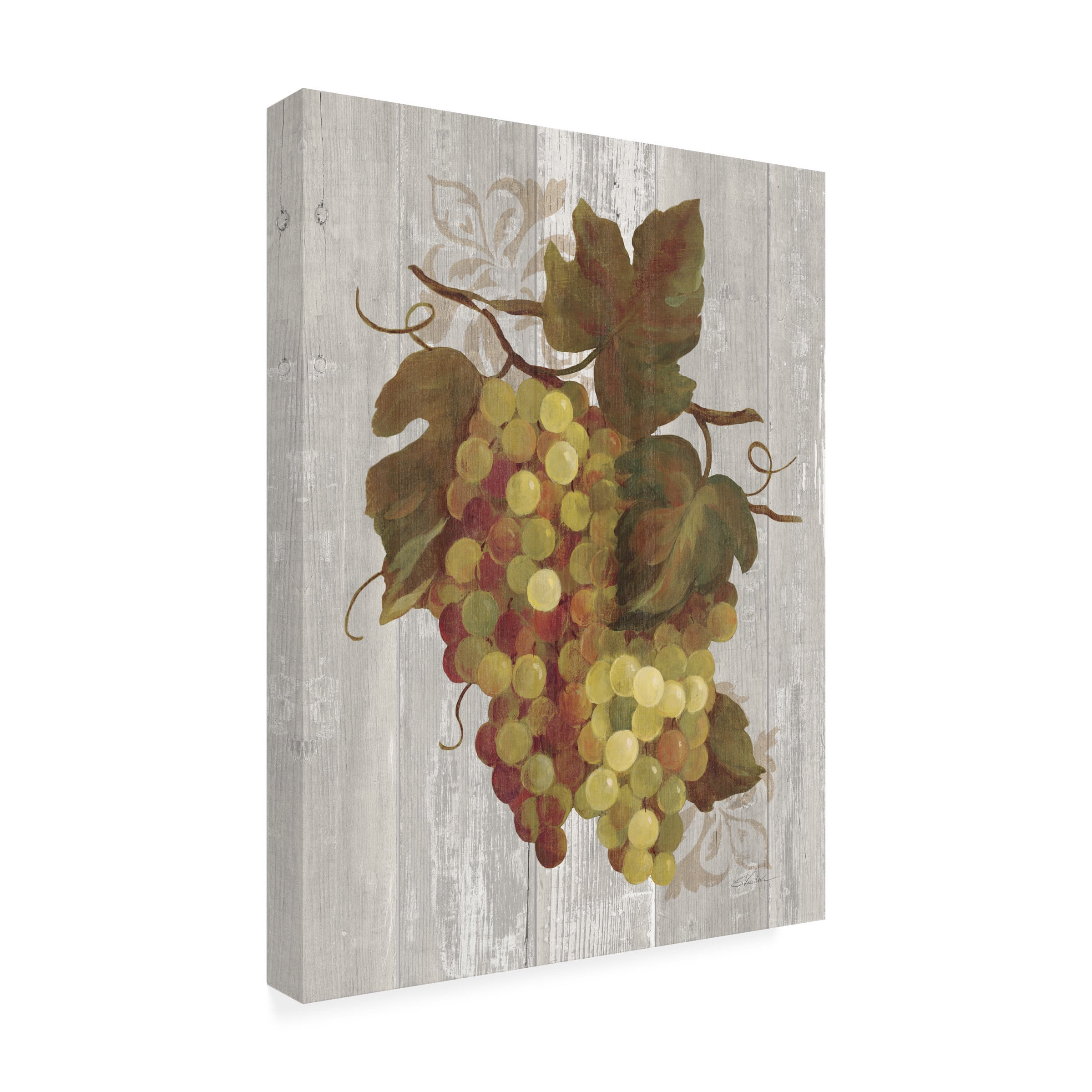 Trademark Fine Art 'Autumn Grapes IV on Wood' Canvas Art by Silvia Vassileva