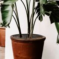 thumbnail image 2 of Housse de Pot de Plante Durable Housse de Pot de Fleurs Housse de Protection pour Maison, 2 of 8