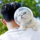 thumbnail image 4 of Capucha para Gatos En Forma De Bola Anti-Lamiendo Cubierta Protectora para La Cabeza del Gatito Suministros para Mascotas Seguridad Cómodo Anillo Anti-Mordida para Mascotas Collares Protectores,L, 4 of 5