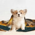 thumbnail image 4 of Disketp Modern Yellow Sweater Guinea Pig Dog Blanket/Bed Cover for Dogs and Cats,Puppy Essentials-Medium, 4 of 8