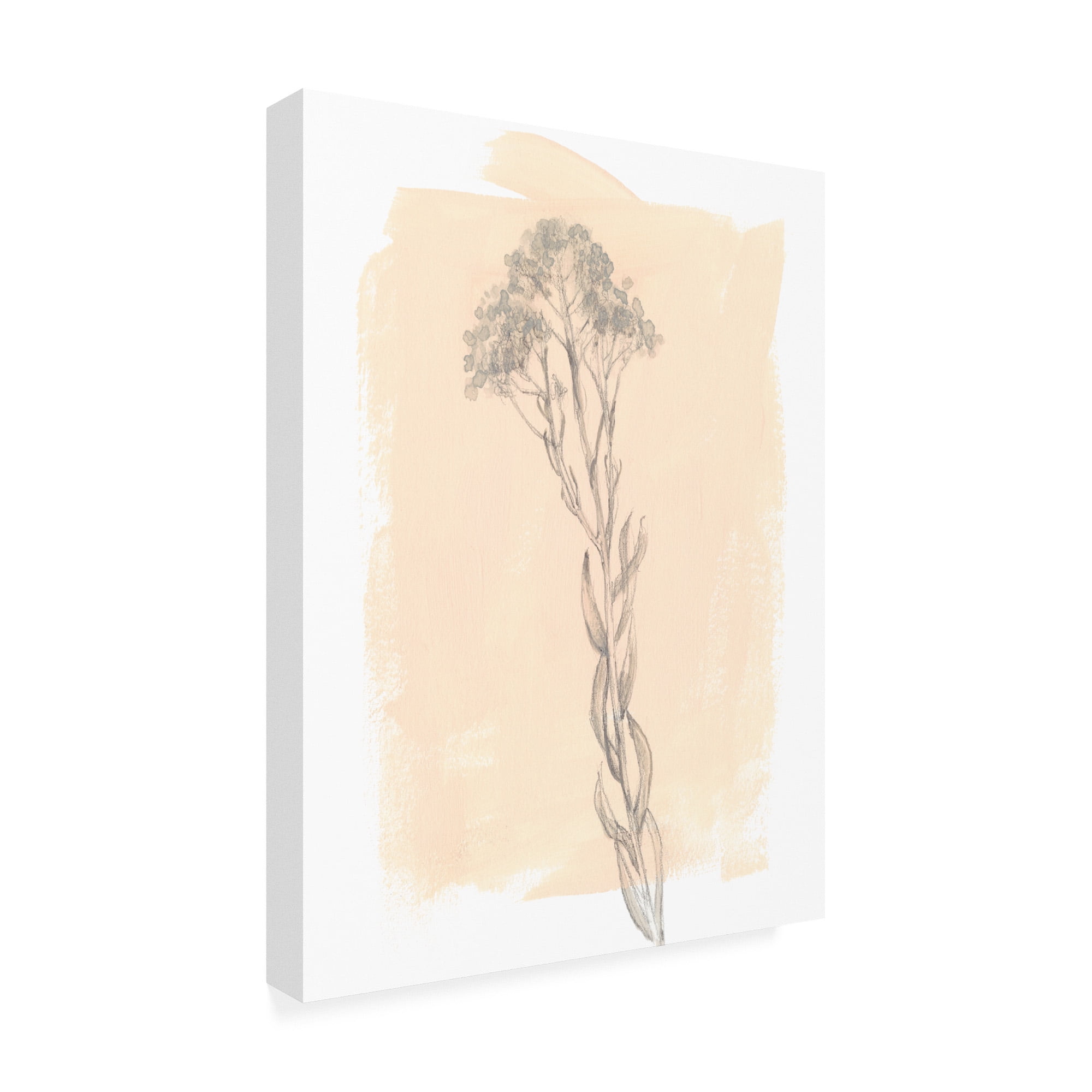 Trademark Fine Art 'Branch on Blush I' Canvas Art by Jennifer Goldberger