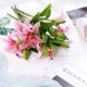 thumbnail image 5 of Xiao Hua Juego de 5 flores de lirio artificiales con un toque realista, ideal para bodas, fiestas, jardines y decoración de oficinas. Flores de lirio artificiales, color rosa intenso., 5 of 5