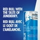 Red Bull Energy Drink, Sea Blue Edition, 4x250ml, 1 x 250 mL
