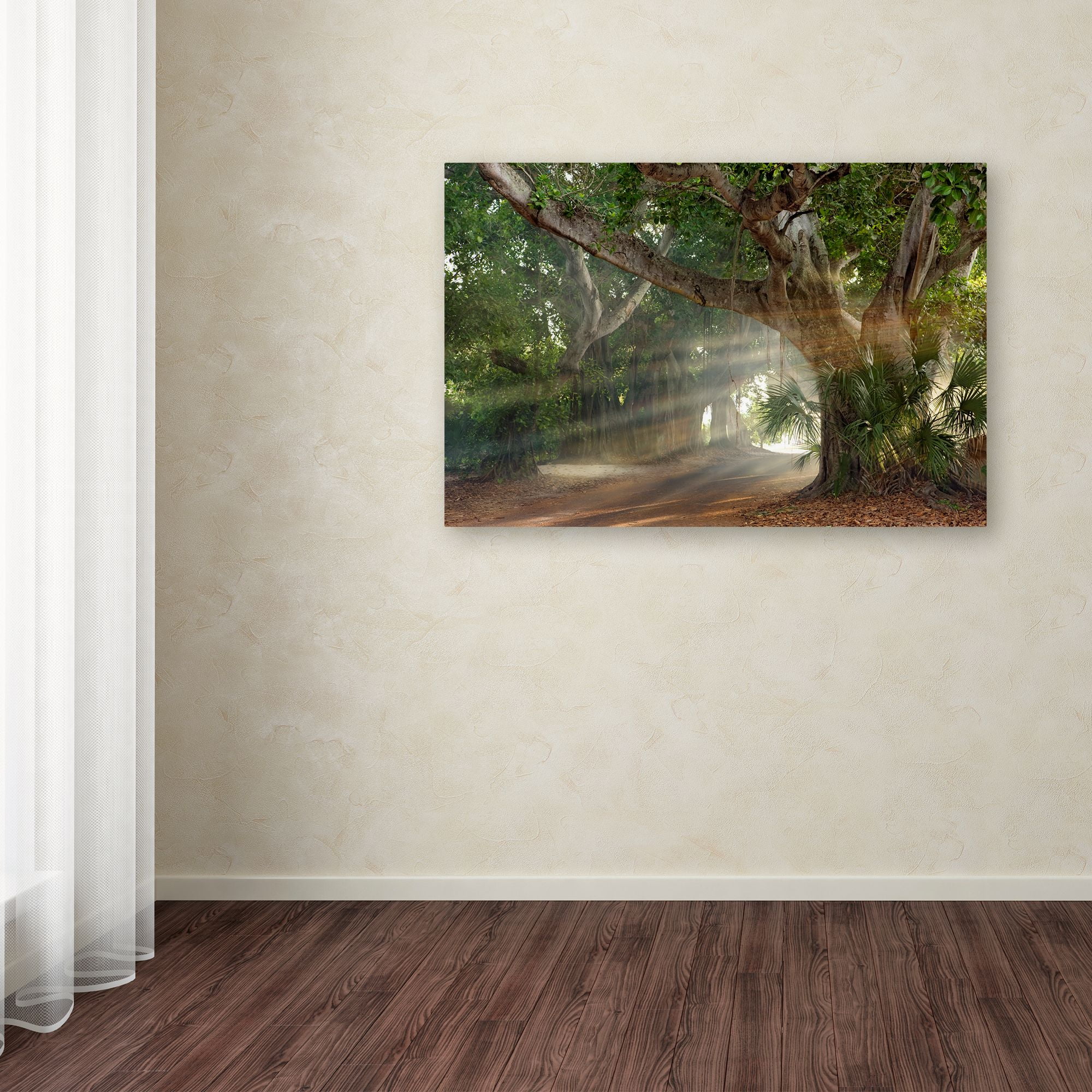 Trademark Fine Art 'Boca Grande Banyon Street' Canvas Art by Mike Jones Photo