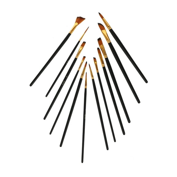 12-Piece Paint Brush Set for Artists, Watercolor & Acrylic Painting Tools, Perfect for Beginners and