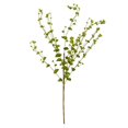 thumbnail image 1 of Vickerman FK180601 27 in. Green Eucalyptus Spray, 1 of 3