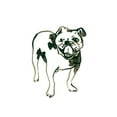 thumbnail image 2 of Vess, June Erica 15x15 White Modern Wood Framed Museum Art Print Titled - Canine Cameo VIII, 2 of 4