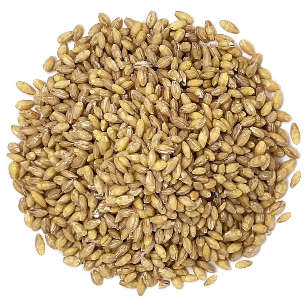 organic barley