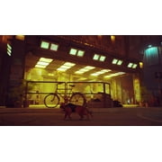 Stray, Nintendo Switch