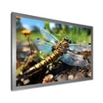 thumbnail image 2 of Designart "Dragonfly Dance in Blue Hues III" Animals Framed Wall Art Decor - Modern Farmhouse Blue Dragonfly Entryway Framed Wall Art Print, 2 of 6