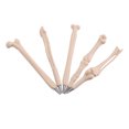 thumbnail image 4 of OTVIAP 5Pcs/Set Bones Shape Pen, Ballpoint Pen , For Advertising Promotion Holidays, 4 of 8