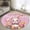 Light Pink, variant on Bathroom Rugs 2x3 Ft, Purple Easter Bunny Non Slip Area Rugs for Kitchen Bedroom Entryway, Spring Easter Eggs Chicken Floral Wood Washable Carpet Runner Rug Floor Mats for Bedroom Home Decor