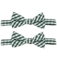 thumbnail image 2 of 2 piezas de pajaritas adorables para el Día de San Patricio para niños, 2 of 7