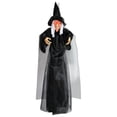thumbnail image 1 of 6.6FT Hanging Witch Halloween Decorations Outdoor, Animated Talking Witches with Color-Changing LED Eyes & Scary Sounds, Touch & Sound Sensor Halloween Decor for Yard Porch Haunted House, 1 of 6