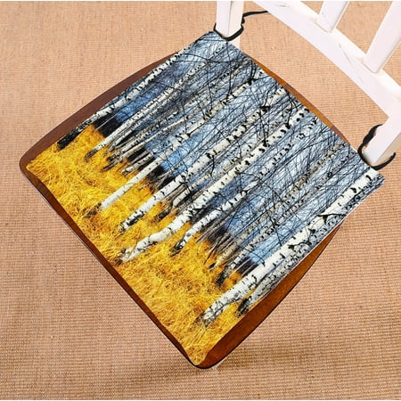 - YKCG Birch Tree of Life Autumn Birch Grove among Orange Grass Seat Cushion Chair Cushion Floor Cushion Twin Sides 16x16 inches