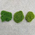 thumbnail image 6 of Artificial Turf Flocking Ornaments Turf Lawn 20X20/30X30/40X60Cm, 6 of 9