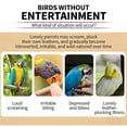 thumbnail image 4 of Lovely Cartoon Pears Bird House for Small Birds Crafted with Biodegradables Safe Shelter and Entertainment, 4 of 8