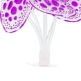 thumbnail image 7 of Soft Silicone Glowing Aquarium Simulation Coral with Sucker Aquatic Artificial Water Plants Purple, 7 of 7
