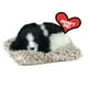 thumbnail image 1 of Peluche Perfect Petzzz Mini Cocker Spaniel 11x8x4 cm, 1 of 5
