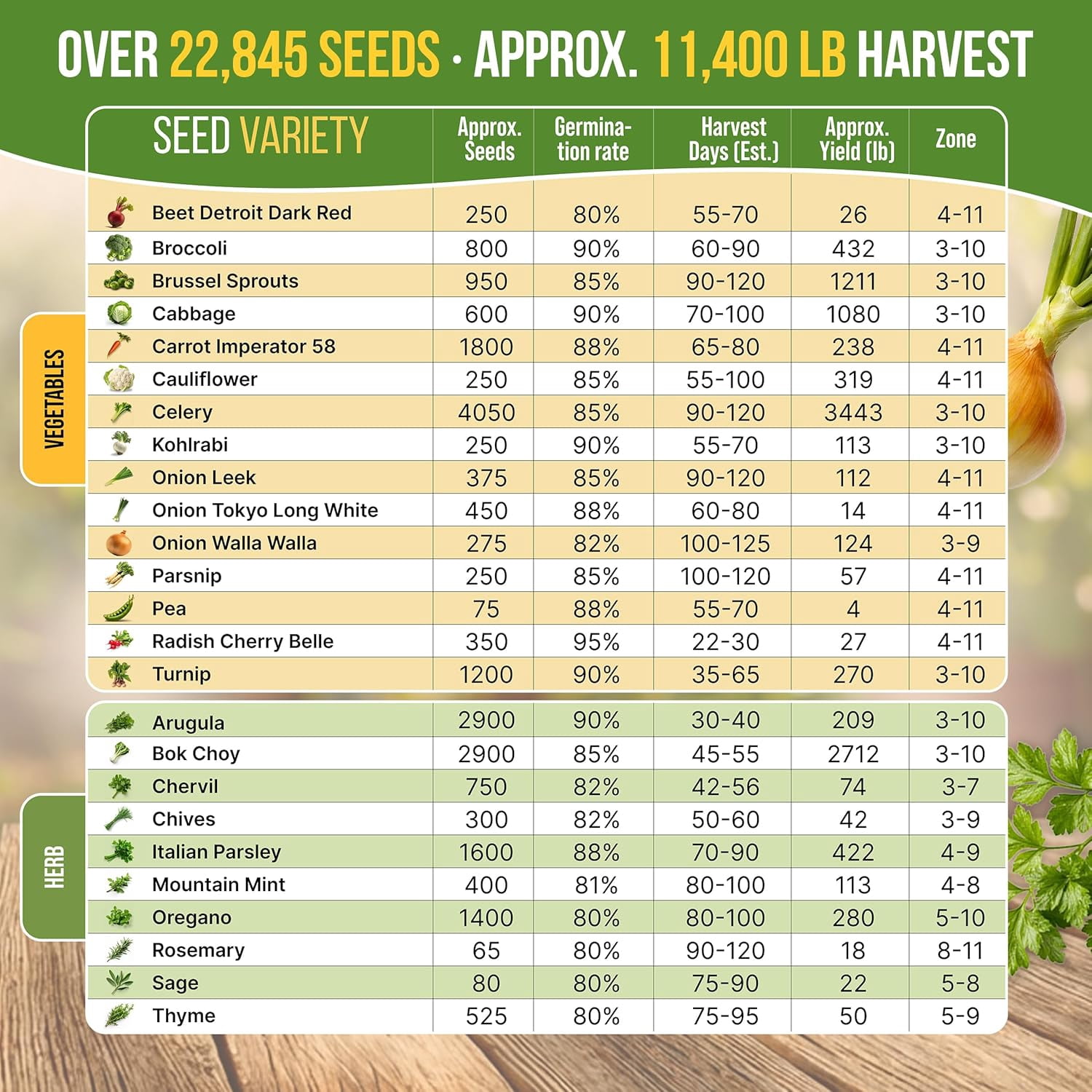 25 Winter Vegetable & Herb Garden Seed Variety Pack - 22,845+ Non-GMO Heirloom Seeds for Gardening
