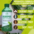 thumbnail image 6 of Country Farms ChloroPure Liquid Chlorophyll, Detox and Cleanse, Superfood and Antioxidant, Supports Immune System, Mint Flavor, 16 fl oz (473 mL), 6 of 10