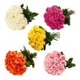 thumbnail image 3 of Bloomingmore Fresh Cut Flowers 16-Inch Multicolor Roses, 125 Count, 3 of 6