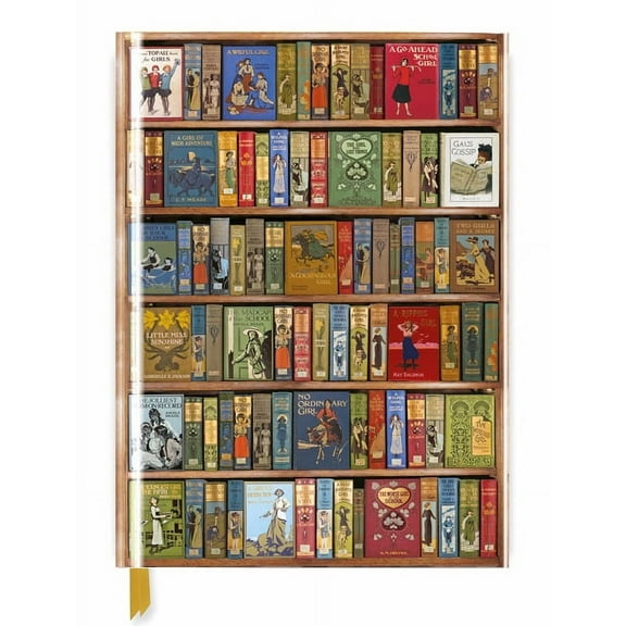 Luxury Sketch Books: Bodleian Library: High Jinks Bookshelves (Blank Sketch Book) (Notebook / blank book)