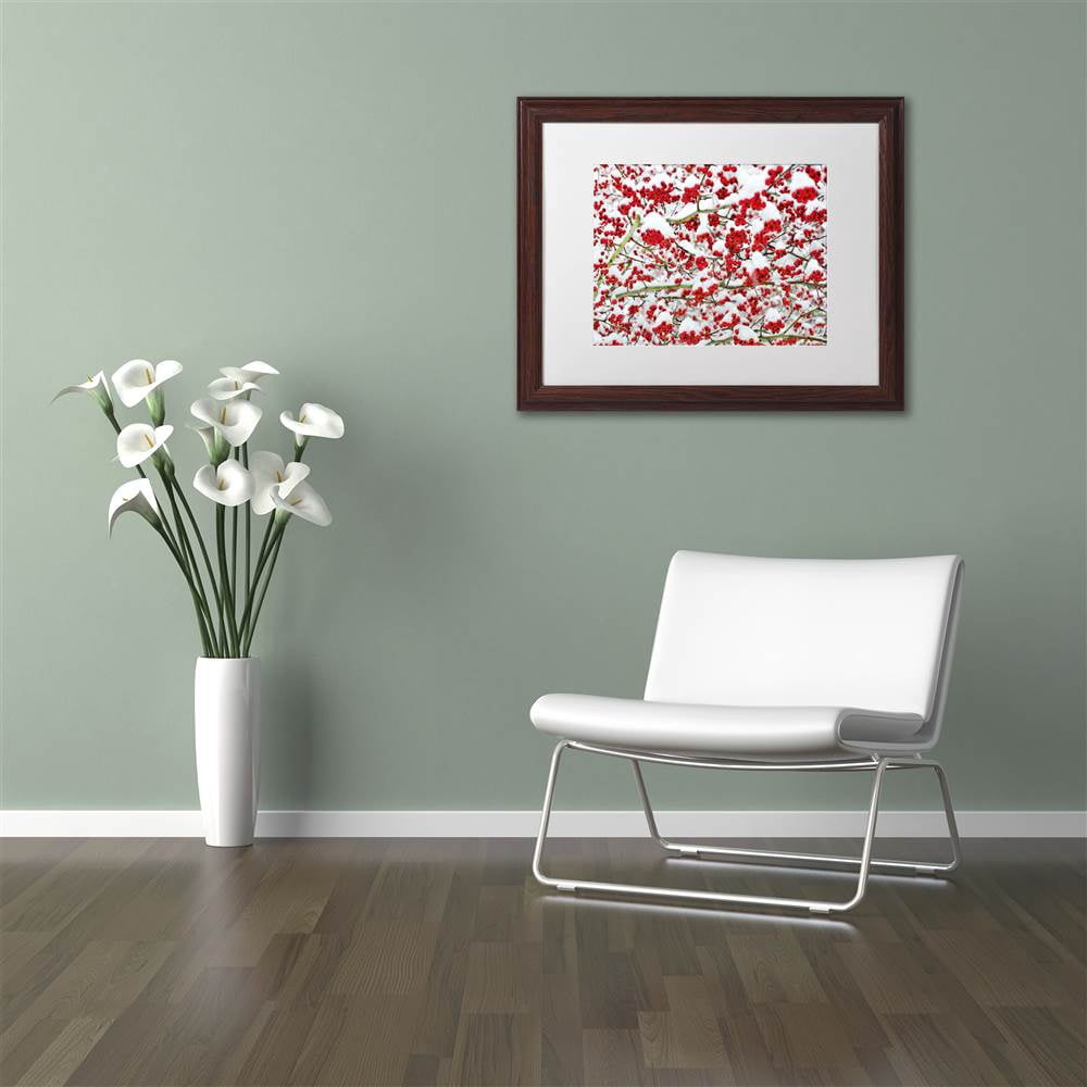 Trademark Fine Art "Winter Berries in the Snow" Canvas Art by Kurt Shaffer White Matte, Wood Frame