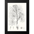 thumbnail image 2 of Vision Studio 17x24 Black Modern Framed Museum Art Print Titled - Illustrative Leaves II, 2 of 5