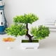 thumbnail image 4 of Naiovety Bonsái de simulación de pino de plantas artificiales, maceta de árbol pequeño, maceta de plástico para el hogar, decoración de para Decoración Verde con olla Naiovety HA083953-04, 4 of 6