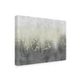 thumbnail image 2 of Trademark Fine Art 'Glitter Swirl I' Canvas Art by Jennifer Goldberger, 2 of 4