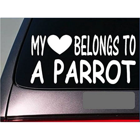Parrot My heart belongs Sticker *G546* 8
