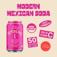 thumbnail image 6 of De La Calle Tepache, Cactus Prickly Pear, Modern Mexican Soda, 12oz, 12 Pack, 6 of 9