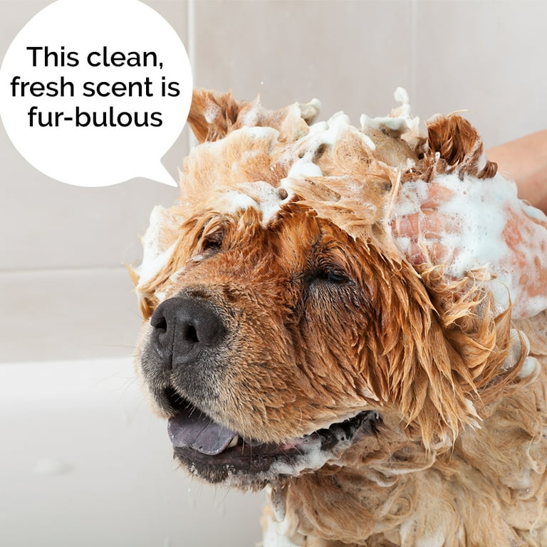 Relief best sale dog shampoo