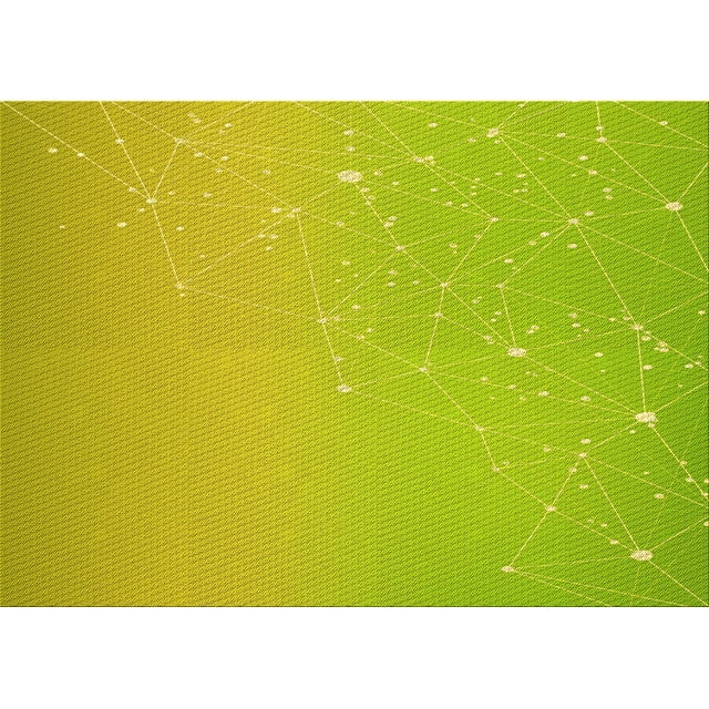 Ahgly Company Tapis d'Intérieur Lavables en Machine Rectangle Transitionnel Vert Pistache, 5' x 8'