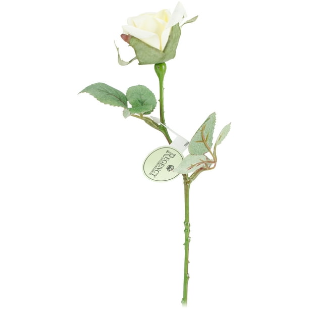 Rose Royale Bud Pic 11,5"-Crème/blanc