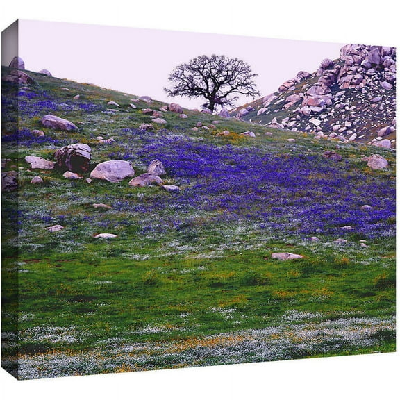 Dean Uhlinger "Sierra Foothills Spring" Gallery-Wrapped Canvas