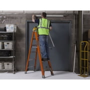 Louisville Ladder 10-Foot Fiberglass Step Ladder, 300-Pound Load Capacity, Type IA, FS1510